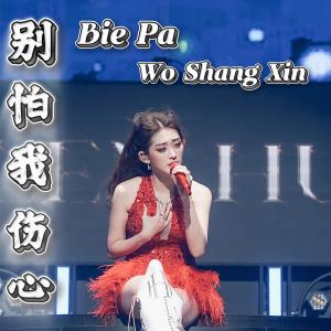 的專輯Bie Pa Wo Shang Xin