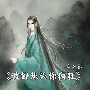 Listen to 我好想为你疯狂 (伴奏) song with lyrics from 战小林