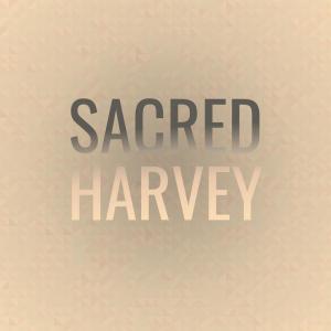 Listen to Anyway Squiffy song with lyrics from Maie Kinor