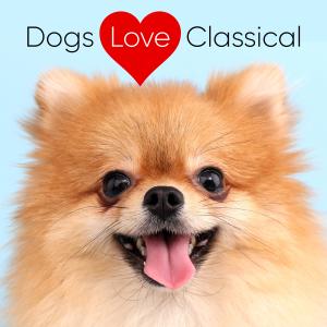 Dogs Love Classical的專輯Piano for Dogs: Schumann Kinderszenen (Scenes from Childhood)
