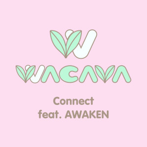 ดาวน์โหลดและฟังเพลง Connect พร้อมเนื้อเพลงจาก WACAVA