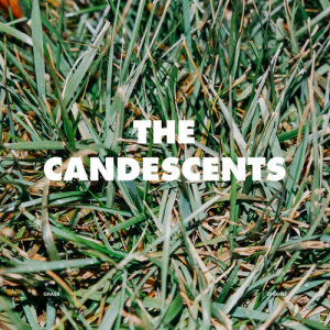 อัลบัม Grass ศิลปิน The Candescents