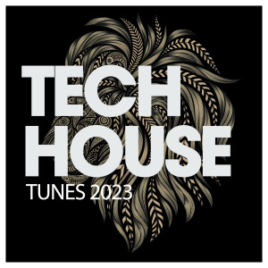 Listen to Carousel (Robert Garcia Remix) song with lyrics from Enzo Tucci