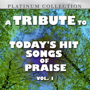Platinum Collection Band的專輯A Tribute to Today's Hit Songs of Praise, Vol. 1
