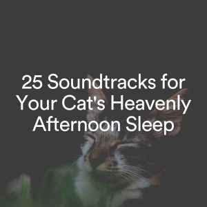 Music For Cats Peace的专辑25 Soundtracks for Your Cat's Heavenly Afternoon Sleep