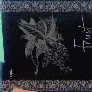 ดาวน์โหลดและฟังเพลง Fruit (Explicit) พร้อมเนื้อเพลงจาก Matt Fine