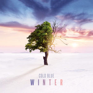 Album Winter from Cold Blue