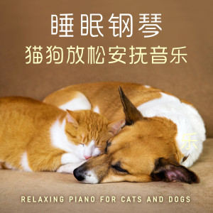 睡眠鋼琴‧貓狗放鬆安撫音樂