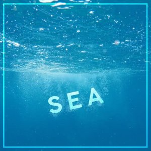 ดาวน์โหลดและฟังเพลง Wave Sounds พร้อมเนื้อเพลงจาก Outside Broadcast Recordings