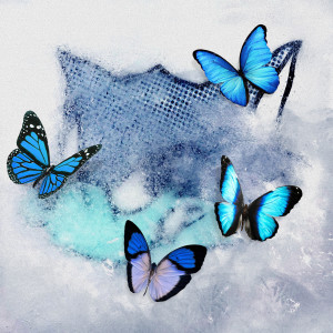 ดาวน์โหลดและฟังเพลง Frozen Butterfly พร้อมเนื้อเพลงจาก WOLF HOWL HARMONY from EXILE TRIBE