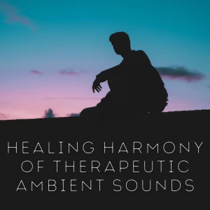 Relaxing Orgel的专辑Healing Harmony of Therapeutic Ambient Sounds