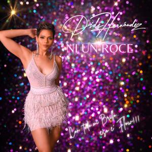 收聽Didi Hernandez的Ni un roce歌詞歌曲