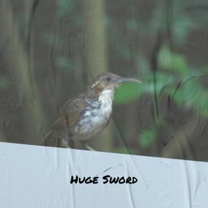 Album Huge Sword oleh Various