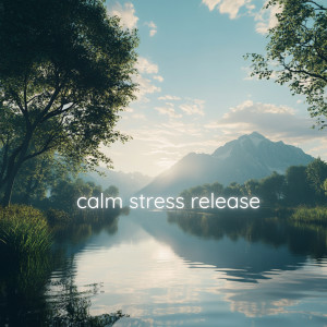 Yzalune的專輯Calm Stress Release