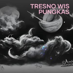 Album Tresno Wis Pungkas oleh Nabila