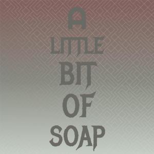 Listen to A Little Bit Of Soap song with lyrics from The Jarmels