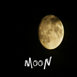 ดาวน์โหลดและฟังเพลง Moon พร้อมเนื้อเพลงจาก Black Fox