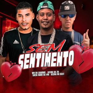 收聽Acena Da Zn的Sem Sentimento (feat. ACENA NO BEAT) (Explicit)歌詞歌曲