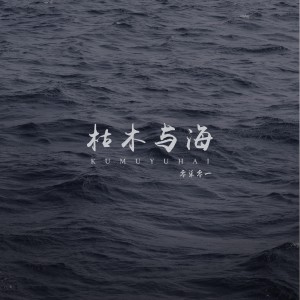收聽零柒零一的枯木與海 (DJ沈念版)歌詞歌曲
