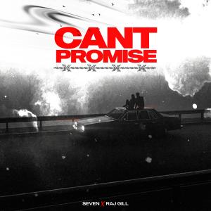 SEVEN的專輯CAN'T PROMISE (feat. Raj Gill)