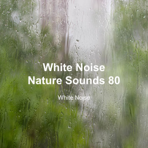 Album White Noise 80 (Rain Sounds, Bonfire Sound, Baby Sleep, Deep Sleep) oleh White Noise