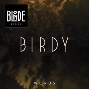 ดาวน์โหลดและฟังเพลง Words (Blonde Remix) พร้อมเนื้อเพลงจาก Birdy