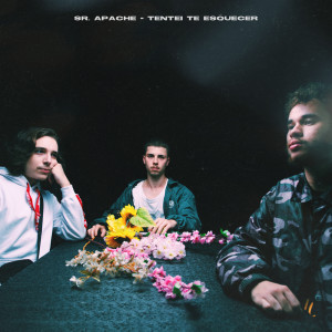 Listen to Tentei Te Esquecer song with lyrics from NOVENOVE