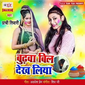 Prachi Tiwari的专辑Budhawa Bil Dekh Liya