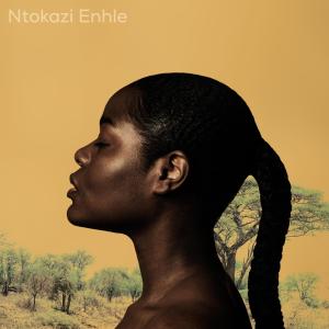 Album Ntokazi Enhle (with Kgaoza Four40) from 