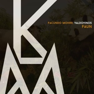 ดาวน์โหลดและฟังเพลง Faun (Nacho Bolognani Remix) พร้อมเนื้อเพลงจาก Valdovinos