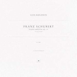 Franz Seraphicus Peter Schubert的專輯Piano Sonata No. 21 in B-Flat Major, D. 960: II. Andante sostenuto
