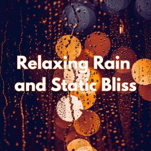 Relaxing Rain and Static Bliss