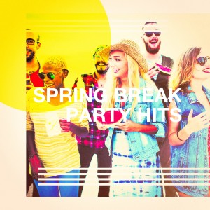 Listen to Lean On song with lyrics from Breaking Habits