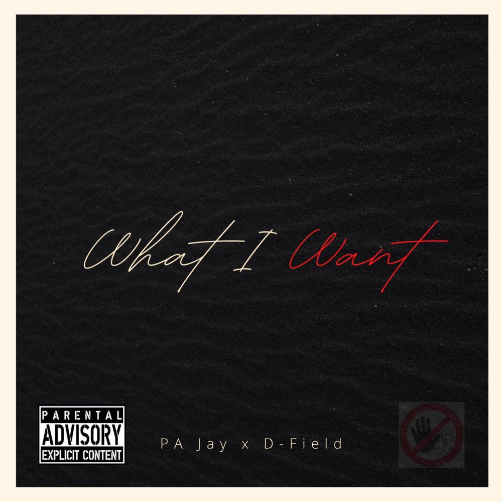 What I Want (feat. PA Jay) (Explicit)