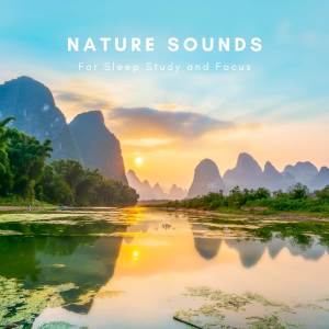 Zen Sounds的專輯Nature Sounds for Sleep Study and Focus