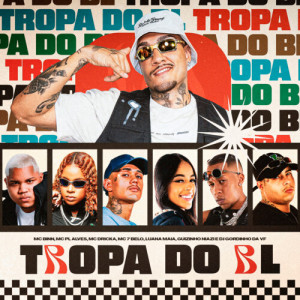 Listen to Tropa do BL song with lyrics from Mc Binn