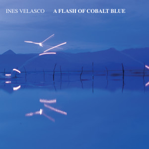 收聽Inés Velasco的In The Tropical Night歌詞歌曲