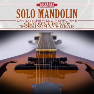 收聽Solo Sounds的Friend of the Devil歌詞歌曲