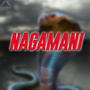 Album Nagamani (Original Motion Picture Soundtrack) from Gangai Amaran