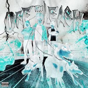 Album Off The Leash (Instrumental + Slowed + Shunsui Bankai) from Jay S