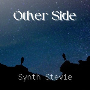 Album Other Side oleh Synth Stevie