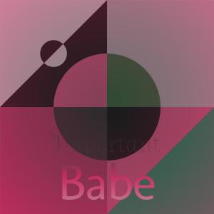 อัลบัม Important Babe ศิลปิน Various