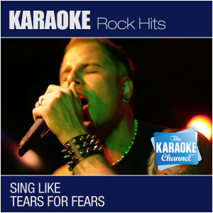 收聽The Karaoke Channel的Goodnight Song (In the Style of Tears For Fears) [Karaoke Version] (Karaoke Version)歌詞歌曲