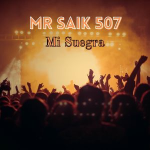 Listen to Mi Suegra song with lyrics from MR SAIK 507