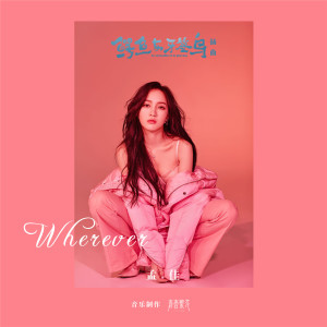 Album Wherever (《鳄鱼与牙签鸟》电视剧插曲) oleh Jia