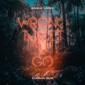 Listen to Wrong to Let U Go song with lyrics from Sasha Lopez