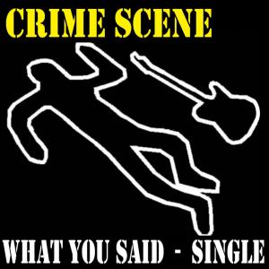 Crime Scene的专辑What You Said (Explicit)