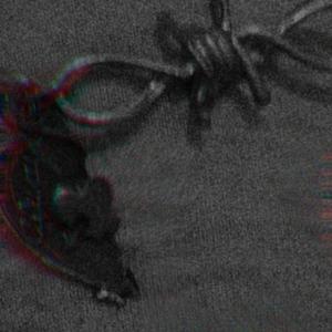 Listen to Reversed dew song with lyrics from Scar