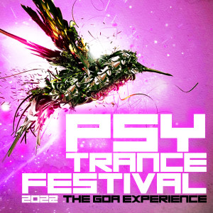 Various Artists的專輯Psytrance Festival 2022: The Goa Experience (Explicit)
