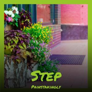 Step Painstakingly dari Various